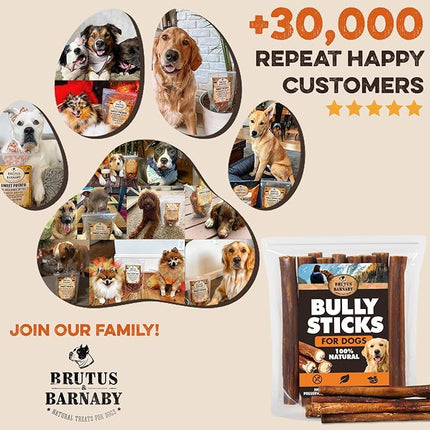 BRUTUS & BARNABY Bully Sticks for Dogs, Jumbo – Low-to-No Odor, Grass-Fed, Rawhide-Free Chews for Aggressive Power Chewers