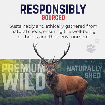 Devil Dog Pet Co. Elk Antlers for Dogs, Jumbo 8"+, 1 Pack, Grade A Long Lasting Chew for Aggressive Chewers, Premium USA Naturally Shed Antler – Healthy, No Odor, Durable Dog Chew