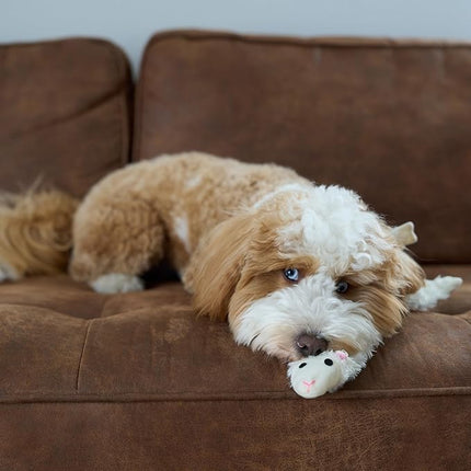 SPOT Skinneeez Crinklers Lamb - Stuffing-Free Dog Toy with Crinkle & Squeaker Sounds, Durable for Moderate Chewers, Tug Toy for Small Dogs & Puppies, 14in