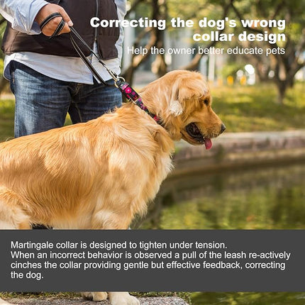 Comfortable Floral Print Martingale Dog Collars, Sun Flower, Large, Neck 17 Inch to 25 Inch, Adjustable Dog Collar Heavy Duty