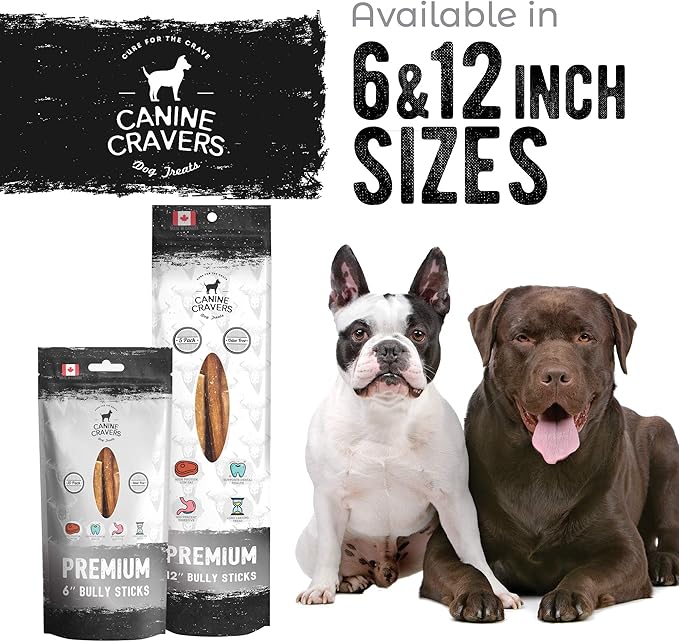 Canine Cravers Maplewood Smoked Bully Sticks 12” Inch - 100% Natural Free Range Grass Fed Beef - Made in Canada Odor-Reduced Long Lasting, Rawhide Free Dog Chews High Protein Low Fat Dental Care