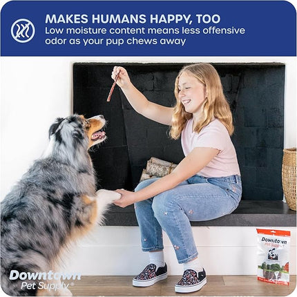 Downtown Pet Supply Bully Sticks for Dogs, Junior Size (6", 40-Pack) Rawhide Free Dog Chews Long Lasting Non-Splintering Pizzle Sticks - Low Odor Bully Sticks for Small Dogs