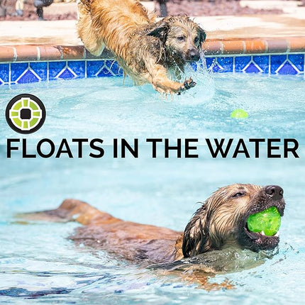 Hyper Pet DuraSqueak Dog Ball Toy, Interactive Dog Toys that Float and Squeaks for Playing, Fetching and Retrieving-Great Alternative to Traditional Tennis Balls Green 2.5 Inch