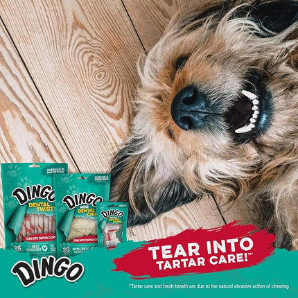 Dingo P-28006 576 Count Mini Dental-Treats, One Size