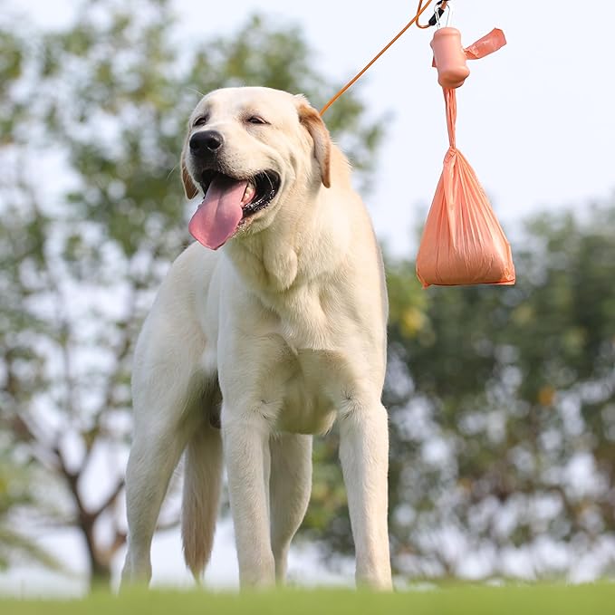 Dog Poop Bags with Handles 9 Rolls 108 Counts Big Sizes Leak Proof and Extra Thick Waste Bags Refill Rolls for Walking Small Medium Large Dogs Cats Litter With Holder Peach Scented