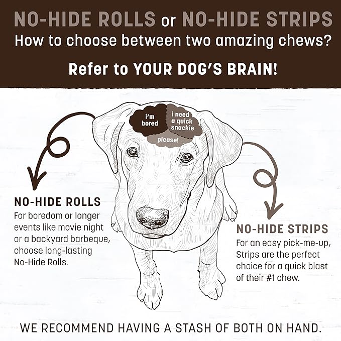 Earth Animal No-Hide Rolls Mango Vegetarian Recipe Small Natural Rawhide Alternative Dog Chews - 6 Count Value Pack