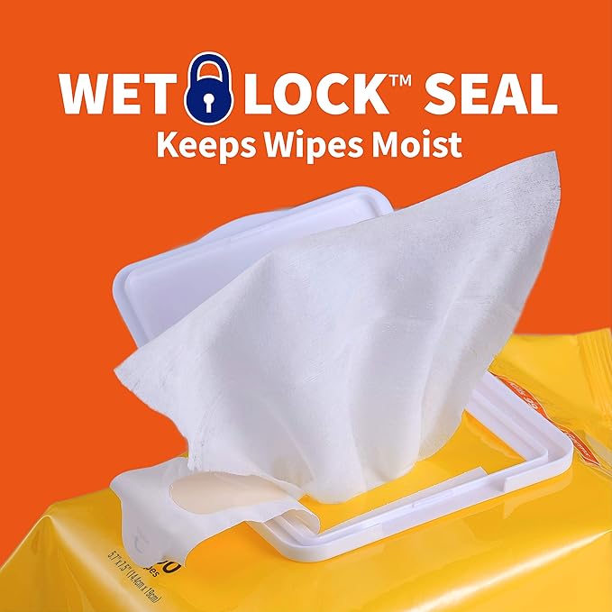 Wet Ones for Pets Multipurpose Dog Wipes with Aloe Vera, Tropical Splash Scent - Pet Bathing Wipes with Wet Lock Seal for Dog Paws & All Over Use, 100 Count