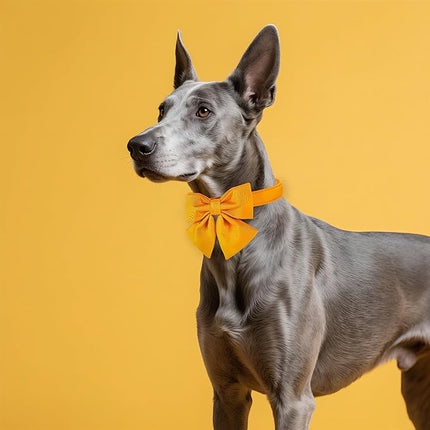 Maca Bates Mango Yellow Dog Collar with Cute Solid Sailor Bow Tie for Extra Small Girl Boy Dogs,Adjustbale Durable Breakaway Soft Collars with Bowtie for Female Male Puppy,Pet with Metal Buckle