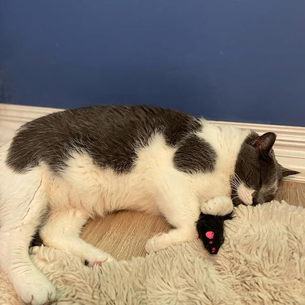 SPOT Shaggy Plush Ferret - Interactive Rattle and Catnip Fuzzy Toy for Indoor Cats and Kittens, Large Size Perfect for Pouncing, Chasing, Hunting, 11 Inches (Pack of 2)