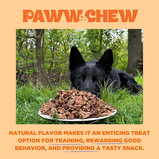 Beef Lung Dog Treats, 100% Natural, Single Ingredient, (1 Pound) Made in The USA, Dried & Dehydrated, High Protein, High Value Dog Training Treats, Grain Free, Low-Odor Free for All Breeds