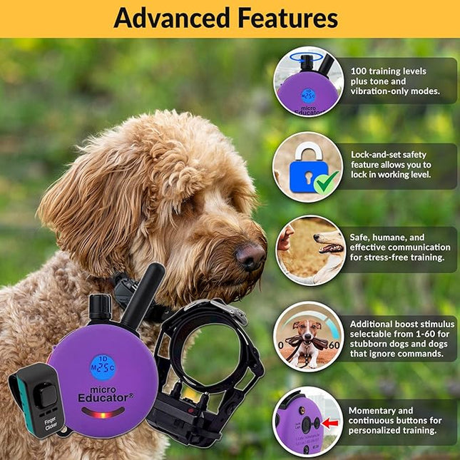 Educator E-Collar Humane Dog Training Collar with Remote, 100 Safe Tapping Stimulation Levels, Night Light, Waterproof, Rechargeable, 1/3 Mile 1 Small Dog Double Bungee Bundle, Purple