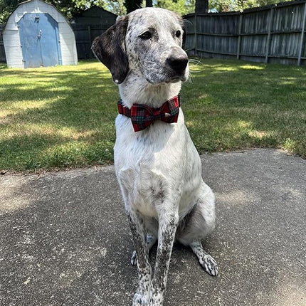 Lionet Paws Christmas Dog and Cat Collar with Bowtie,Soft and Comfortable,Adjustable Collar