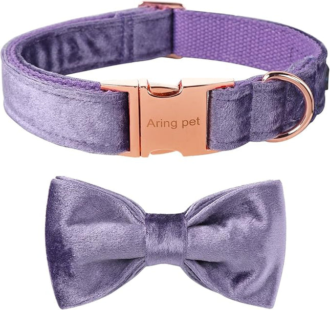 ARING PET Bowtie Dog Collar-Velvet Dog Collars with Removable Bowtie, Cute &Comfortable Purple Dog Collar,Small.