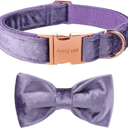 ARING PET Bowtie Dog Collar-Velvet Dog Collars with Removable Bowtie, Cute &Comfortable Purple Dog Collar,X-Small.