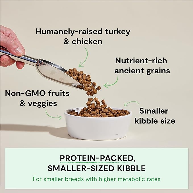 Open Farm, Ancient Grains Dry Dog Food for Small Breeds, Protein-Rich & Nutrient Dense, 90% Animal Protein with Non-GMO Fruits, Veggies and Superfoods, Chicken & Turkey Recipe for Small Dogs, 4lb Bag