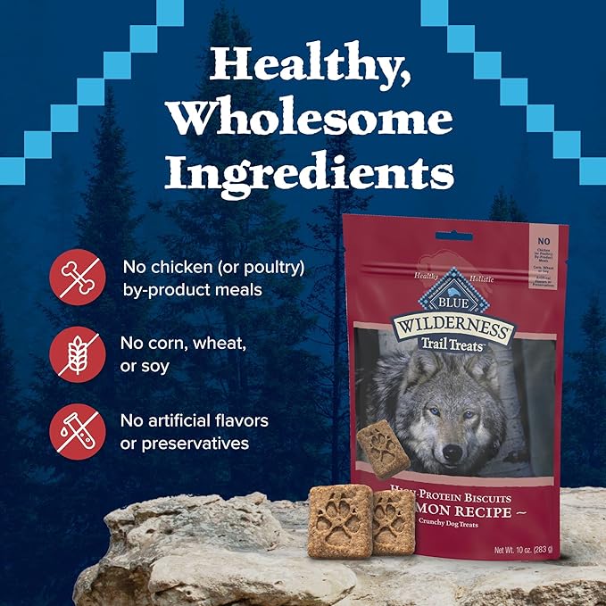 Blue Buffalo Wilderness Trail Treats High Protein Grain Free Crunchy Dog Treats Biscuits, Salmon Recipe 10-oz Bag