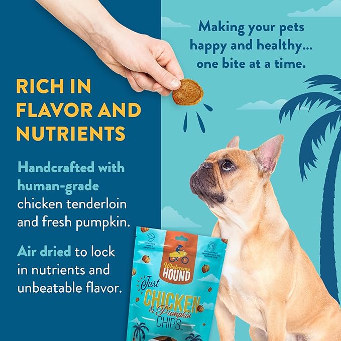 Chicken & Pumpkin Chips – 2 Simple Ingredient Dog Treats, All Natural & Healthy Training Snacks for Small, Medium & Large Breeds, Puppies – High Protein, Made in USA 7oz