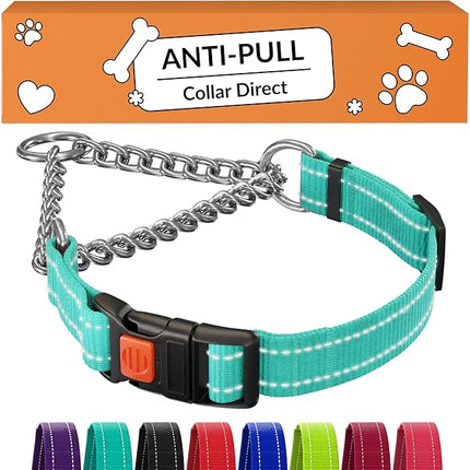 CollarDirect Martingale Dog Collar with Stainless Steel Chain and Quick Release Buckle - Reflective Collar for Large, Medium, Small Dogs - Mint Green, Medium (Neck Size 14"-17")