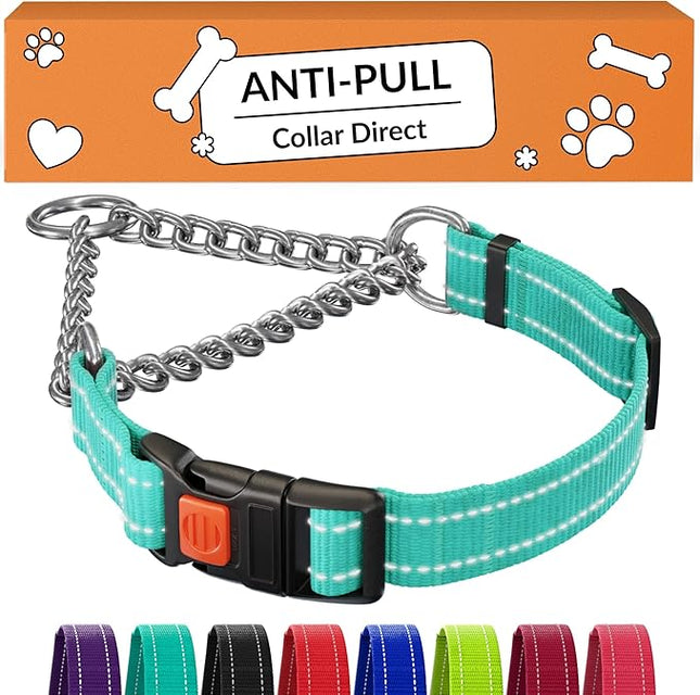 CollarDirect Martingale Dog Collar with Stainless Steel Chain and Quick Release Buckle - Reflective Collar for Large, Medium, Small Dogs - Mint Green, Medium (Neck Size 14"-17")