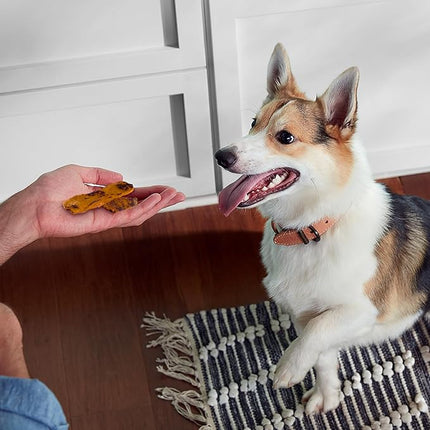 Rachael Ray Nutrish Turkey Bites Turkey Recipe With Hickory Smoke Bacon Flavor Dog Treats, 12 oz. Pouch