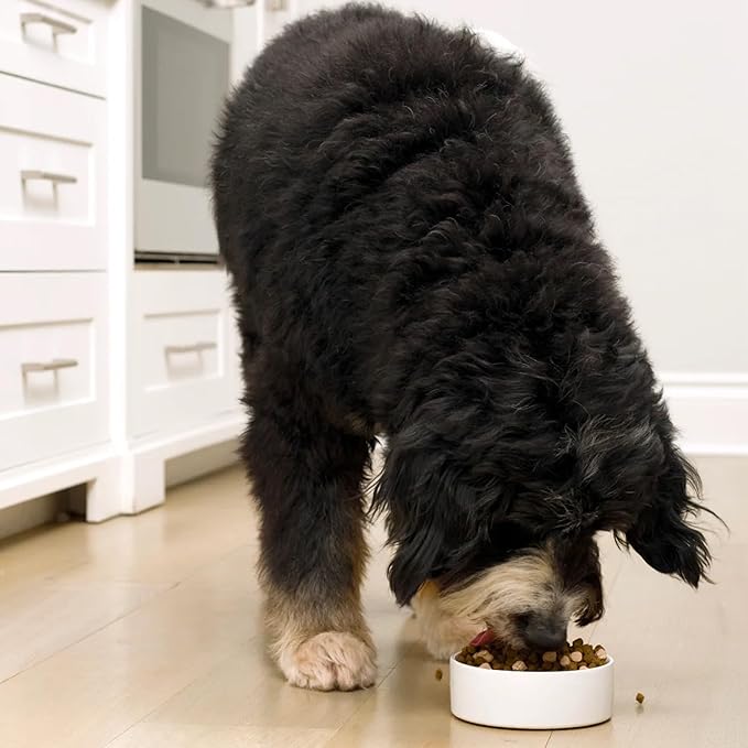 Open Farm, RawMix Grain-Free Dry Dog Food, Protein-Packed Kibble Coated in Bone Broth with Freeze Dried Raw Chunks, Chicken & Turkey, Open Prairie Recipe, 20lb Bag