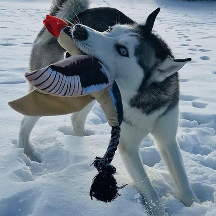 Spunky Pup Fly & Fetch Plush Dog Toy - Duck