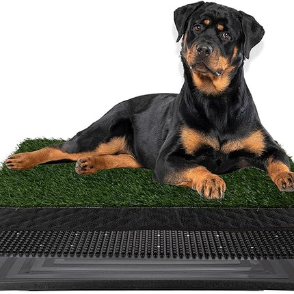 Artificial Grass Puppy Pee Pad for Dogs and Small Pets - 41X27 Inch, Reusable 4-Layer Turf Pads for Dogs with Tray - Indoor and Outdoor Fake Grass Potty Pet Supplies by PETMAKER