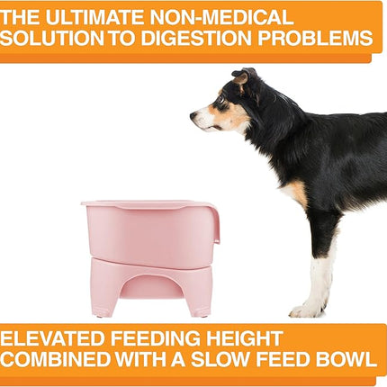 Neater Feeder - Express Model w/Slow Feed Bowl - Mess-Proof Dog Bowls (M/L, Pink) Made in USA – Elevated, No Spill, Non-Tip, Non-Slip, Raised Stainless Steel Food/Water Pet Bowls Aid Digestion