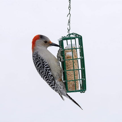 C&S High Energy Delight No Melt Suet Dough 11 Ounces,(Pack of 12)