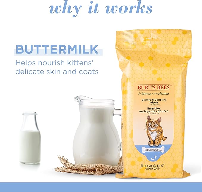 Burt's Bees for Pets Kitten Wipes with Buttermilk - Pet Wipes for Cats Waterless Bathing & Cleaning, Kitten Essentials, Gentle Cat Grooming Wipe for Face, Paws & Butt, 50 Count - 6 Pack