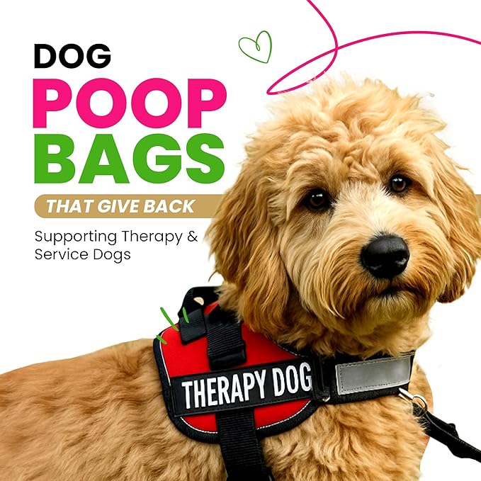 Dog Poop Bags 120 Count – Leakproof, Extra Thick & Easy Open | Unscented Plant-Based PLA + PBAT, Fits All Dispensers, Hey Stinky Funny Printed Design