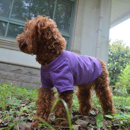 Lovelonglong 2019 Pet Clothing Dog Costumes Basic Blank T-Shirt Tee Shirts for Small Dogs Purple L