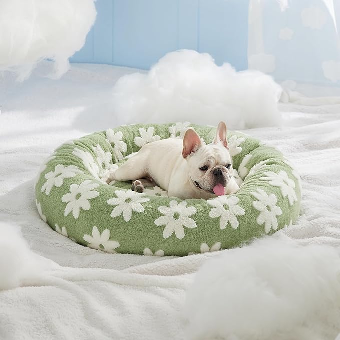 LE SURE Donut Medium Dog Bed - Round Cat Beds for Indoor Cats Calming Pet Beds, Cute Modern Beds with Jacquard Shaggy Plush & Anti Slip Bottom, 30 Inch, Green