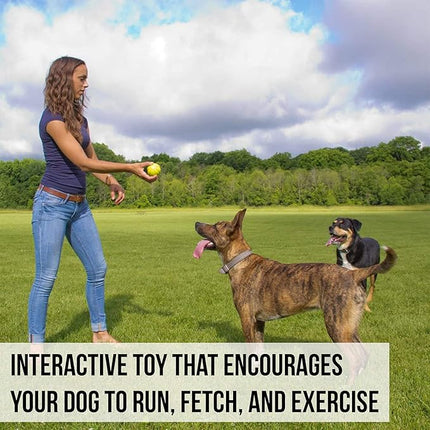 Hyper Pet Fetching Dog Toys - Throwing Ball Dog Toy Made with EVA Foam - Lightweight & Floats on Water,Green