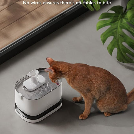 Cordless Pet Water Fountain Battery Operated + 8 Packs Replacement Filters for Dockstream Cat Water Fountain WF005 WF115 WF105, 4 Months Set of Replacement Filters