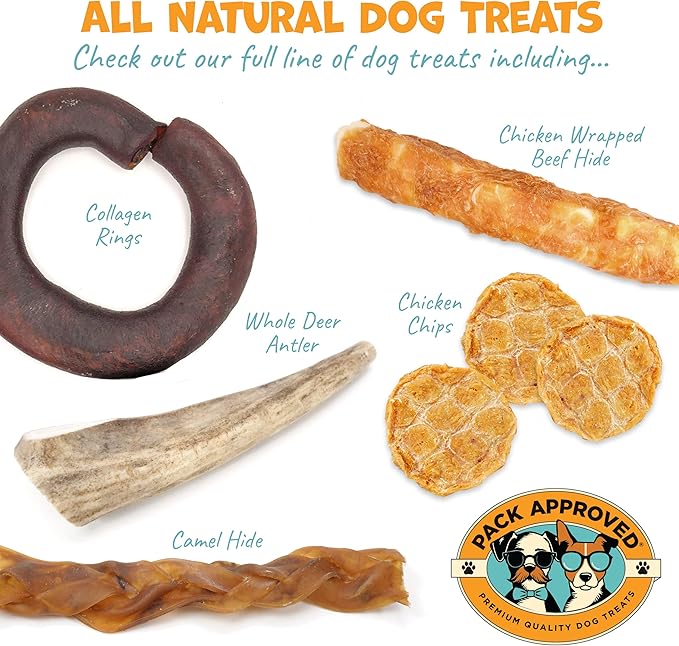 Chicken Chips - Crunchy, Single Ingredient Dog Treat -100% All Natural Chicken Breast - 12oz