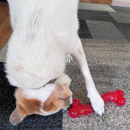 SPOT Play Strong S Bone - Durable TPR, Long Lasting Dog Chew for Aggressive Chewers, Hollow Center to Hide Treats, Virtually Indestructible Toy for Large Dogs & Puppies up to 90lbs - 12 inch