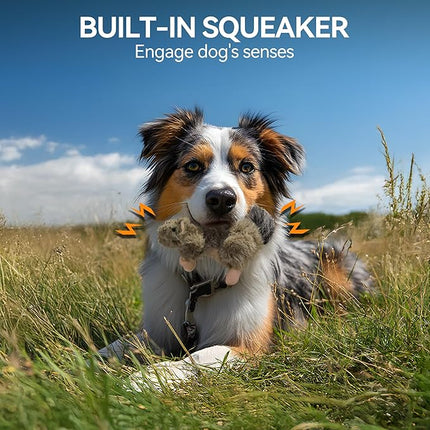 ALL FOR PAWS Classic Squirrel Pet Toys, Small