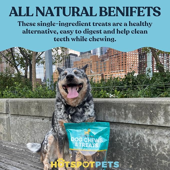 hotspot pets Beef Esophagus Dog Treats Grass Fed with No Added Hormone & Antibiotic All Natural Jerky Dog Treats - (12 Inch - 1 Pound Bag) Dog Chews Rich in Glucosamine & Chondroitin for Joint Health
