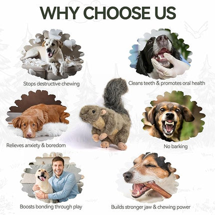 ALL FOR PAWS Classic Squirrel Pet Toys, Small