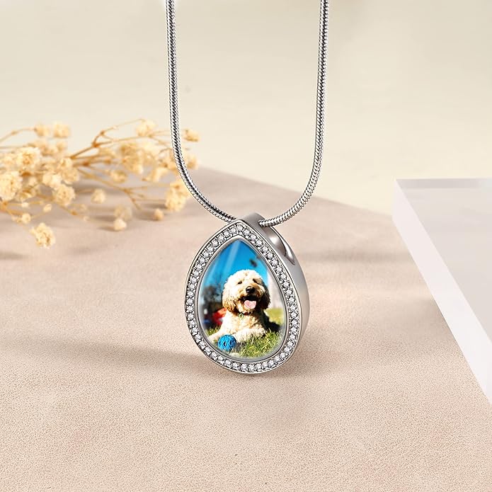 Farfume Personalized Pet Urn Necklace for Dog Cat Ashes Cremation Pet Memorial Customized Photo Text Engraving Pendant Keepsake Funeral Jewelry