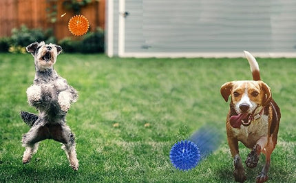 Jalousie Dog Squeaky Toys Value Set Non-Toxic Squeaky Balls Toss Fetch TPR Rubber Puppy Toys Spikey Dog Chew Toy for Small Medium Breed Pet Toys for Puppy (3 Pack Spiky Balls)