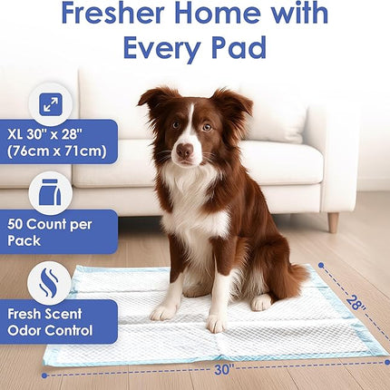 American Kennel Club Scented Puppy Training Pads with Ultra Absorbent Quick Dry Gel – 28 x 30 Pee Pads for Dogs - Fresh Scented - 50 Count, XL