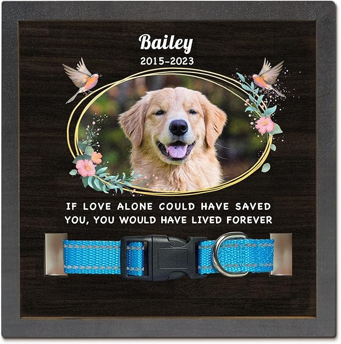 Pet Memorial Gifts Personalized Picture Frame for Loss of Dog, in Memory of Dog Passing Away Sympathy Gifts, Cat Memorial- Fits 3 Collar Lengths