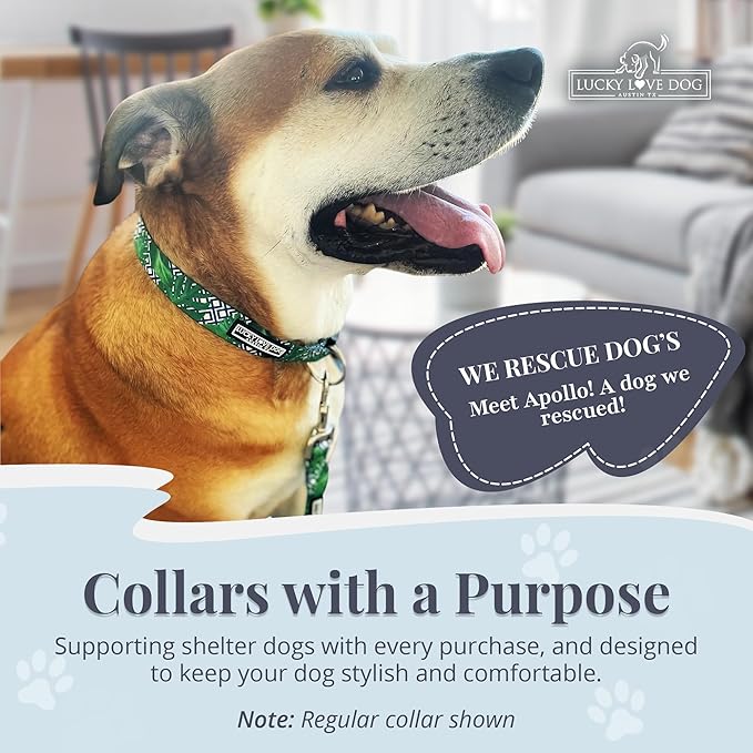 Lucky Love Dog Collar, Beautiful & Vivid Pattern Small Boy Dog Collars, Easy On & Off Clasp Accessory (Blue Laguna, S)