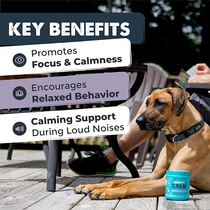 Mighty Paw Calming Chews for Dogs with Melatonin 2 Pack - Sleep Aid Waggables Calm (Made in USA) - Puppy & Large Dog Treats - Composure Dog Calming Chews for Stress & Relaxation, 240 Count