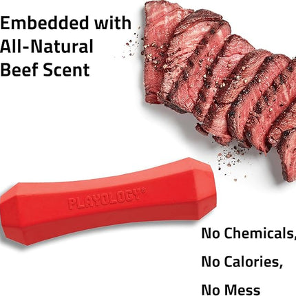 Playology Dog Toys | Durable Squeaky Chew Stick for Dogs| Medium Beef Scented Toy - Easy to Clean and Made from Non Toxic Materials