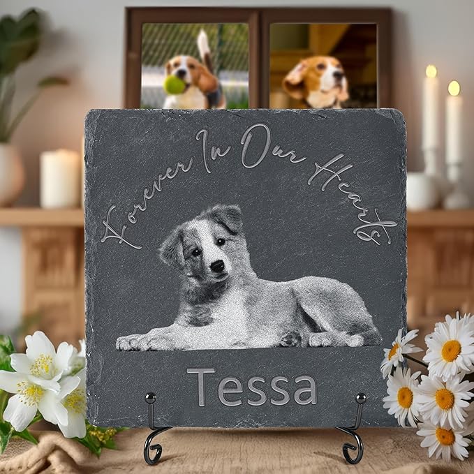 Pet Memorial Stone, Dog Memorial Stone, Dog Memorial Gifts for Loss of Dog, Pet Memorial Gifts, Loss of Pet Sympathy Gift, in Loving Memory Pet - Beloved Forever in Our Hearts - Square