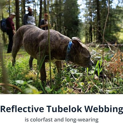 Ruffwear, Crag Dog Collar, Stylish Adventure Collar with Premium Reflective Design, Quick Release Buckle, Lightweight All-Day Comfort, Canyon Oxbow, 11"-14"