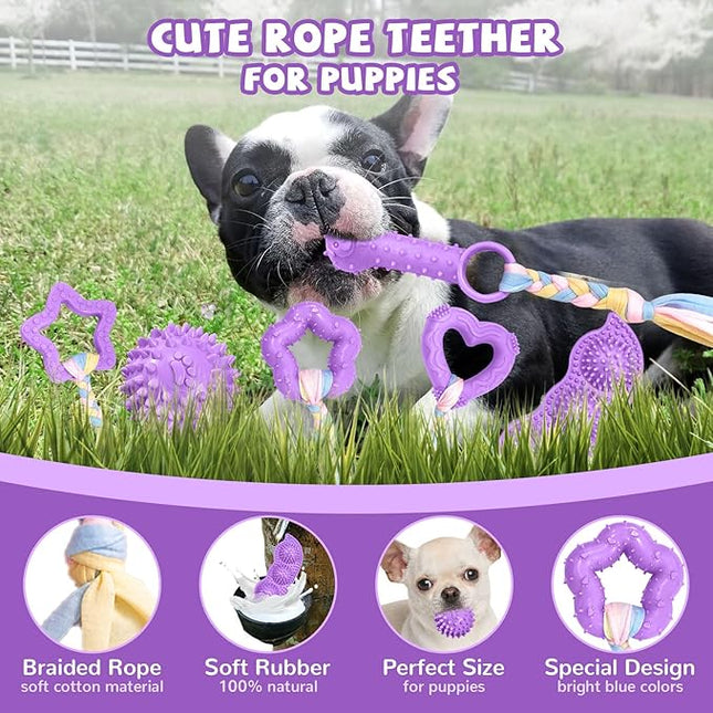 6 Pack Puppy Teething Toys Cute Small Dog Toys Durable Puppy Chew Toy for Teething Essentials Purple Soft Rubber Small Breed Dog Squeaky Balls for Puppies Interactive Doggy Chews Toy Set